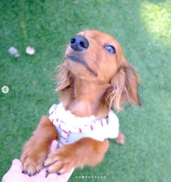 おとなっぽい表情をするにこちゃん