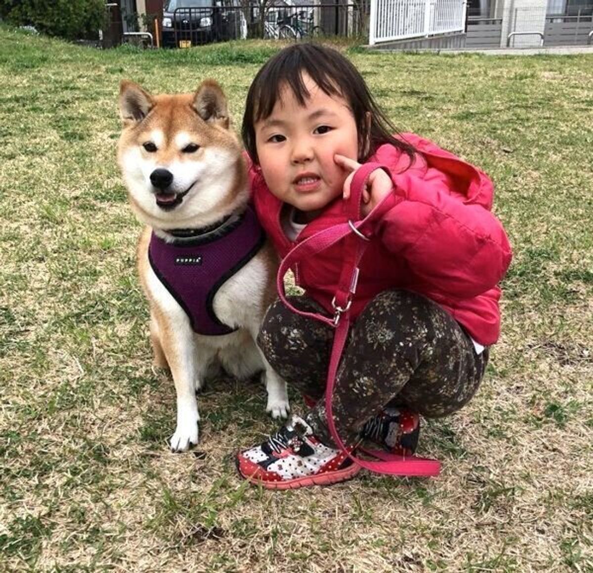 子ども いぬ 赤ちゃんの頃からずっと一緒 成長するにつれて距離が縮まるふたりに癒される いぬねこ絵本部 いぬのきもちweb Magazine 子ども いぬ 赤ちゃんの頃からずっと一緒 成長するにつれて距離が縮まるふたりに癒される いぬねこ絵本部 いぬのきもちweb Magazine