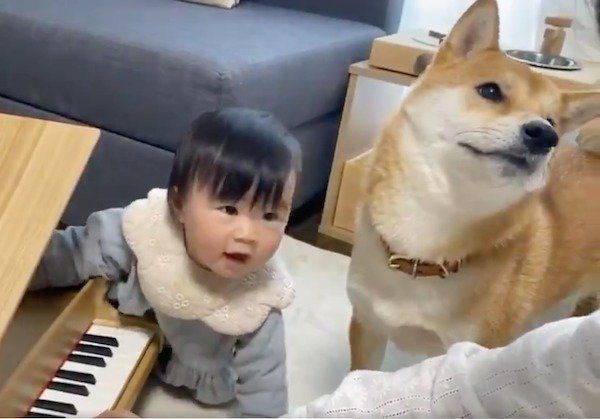 妹ちゃんとりんご郎くん