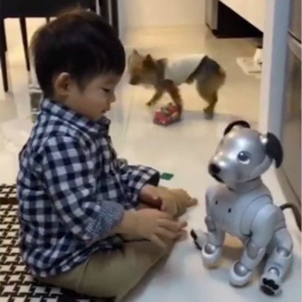 ワンコとアイボ