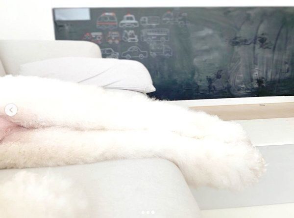 ソファで眠るもずくちゃん