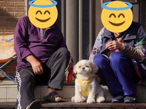 おじいちゃんおばあちゃんのことが大好きなこむぎくん