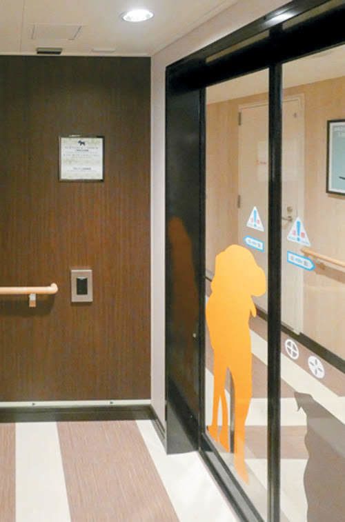 フェリーさんふらわあ提供