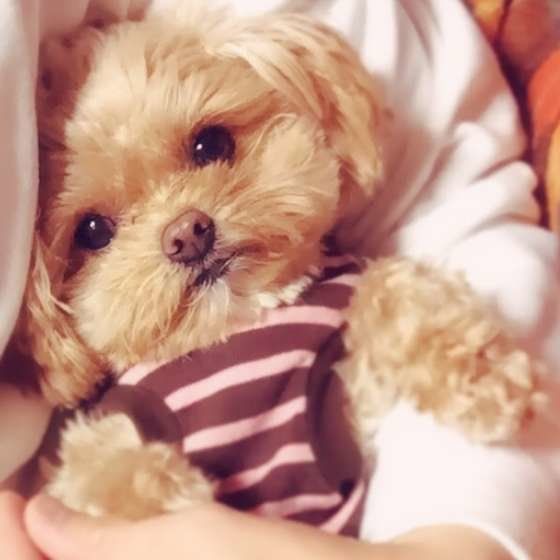 お兄ちゃんに抱っこされるの大好き♪