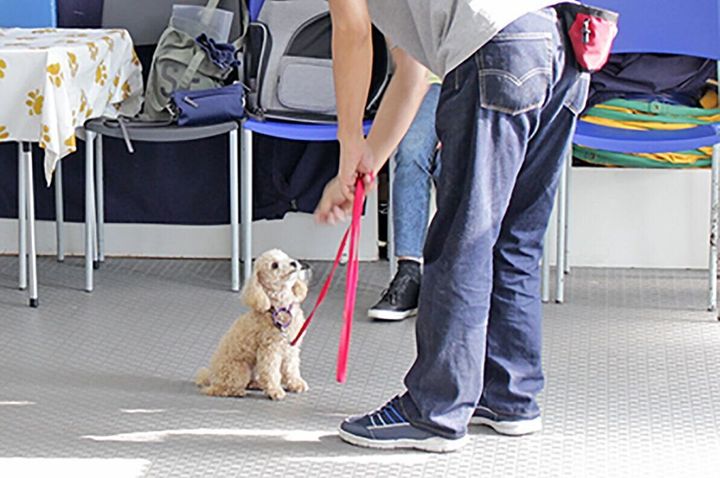 4hrvq6idibmxbm 4hrvq6idibmxbm