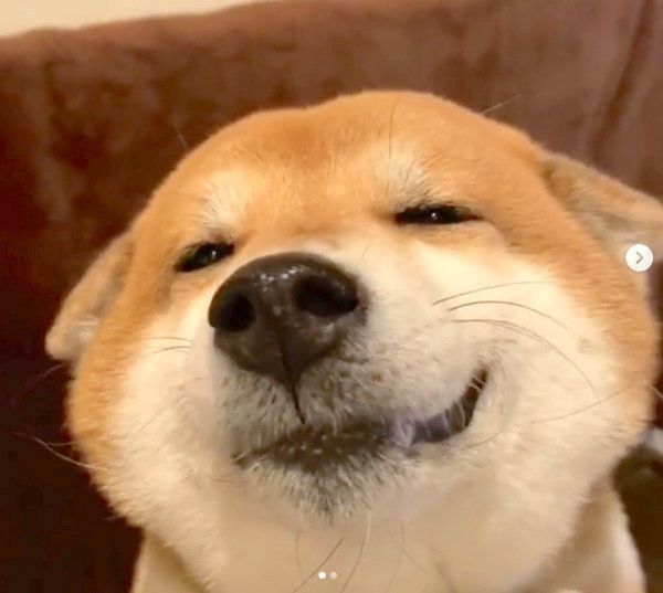 ヒコーキ耳になるHanaちゃん