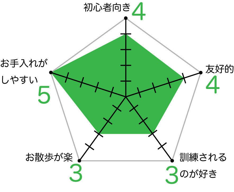 ビーグルのグラフ