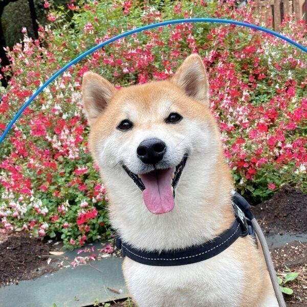 笑顔が可愛い栗太郎くん