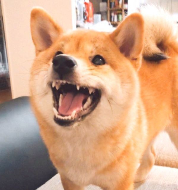 笑顔の龍乃子姫ちゃん