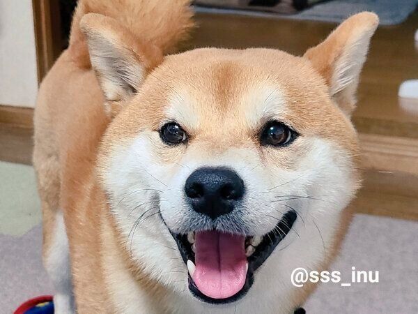 笑顔が可愛い麦くん