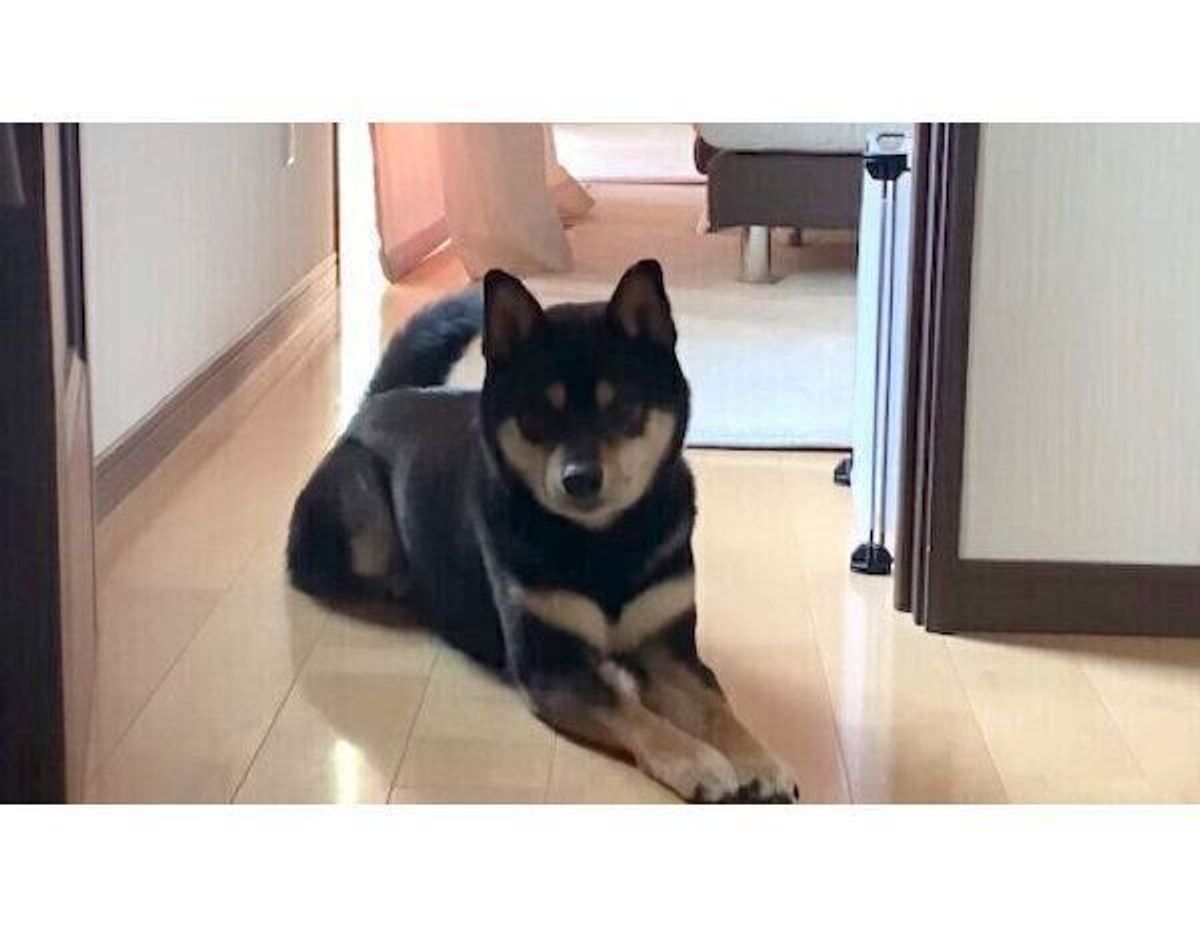 7lqpd6wcn0 Vm 7lqpd6wcn0 Vm