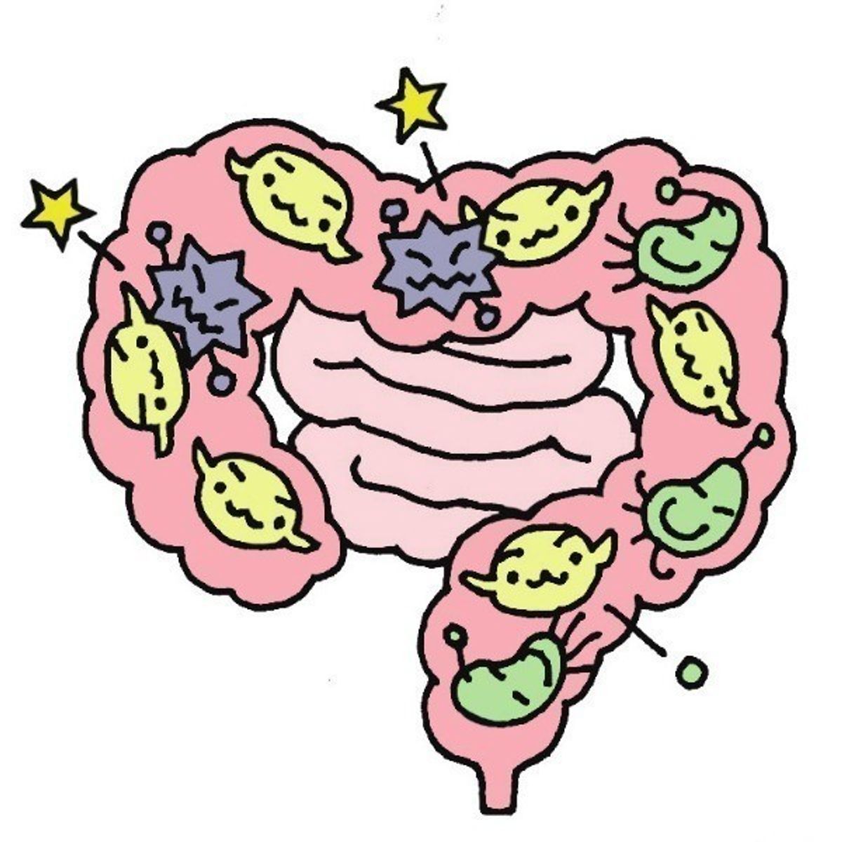 犬も腸が大事 免疫力維持につながるトッピング食材8選 いぬのきもちweb Magazine 犬も腸が大事 免疫力維持につながるトッピング食材8選 いぬのきもちweb Magazine