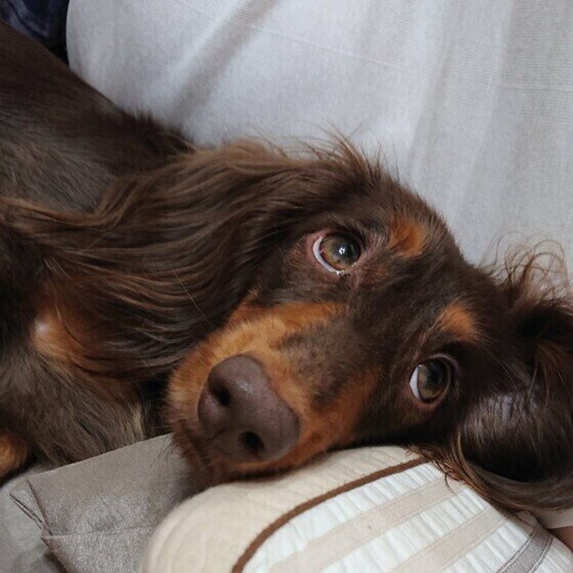 Psrgakockxxm Psrgakockxxm