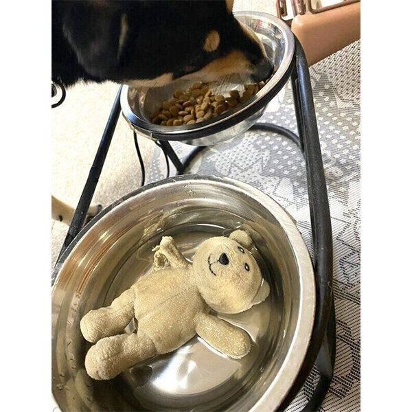 ごはんを食べる心陽ちゃん