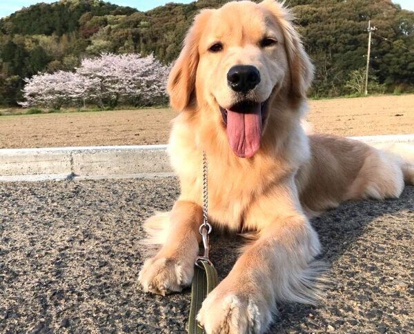 笑顔の小夏ちゃん