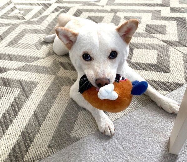 見つめるえるちゃん