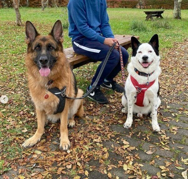 お出かけを楽しむスヌーピーちゃんとバトンちゃん