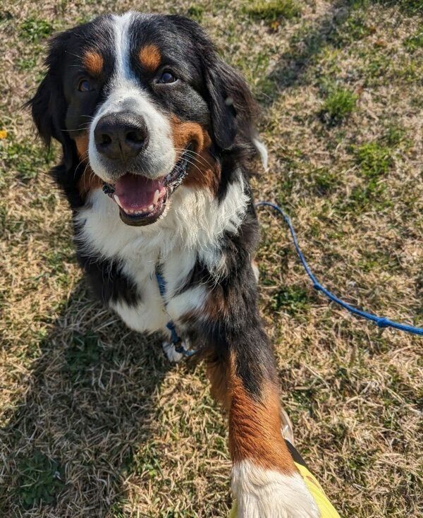 見つめるまさおくん