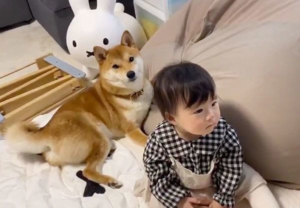 テレビを見る妹ちゃんとりんご郎くん