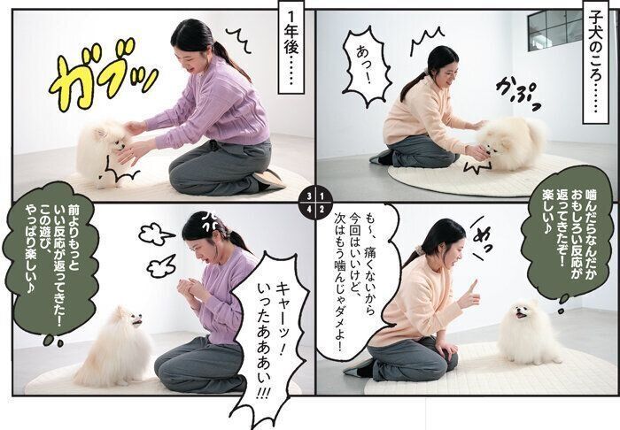 犬があま嚙みする理由