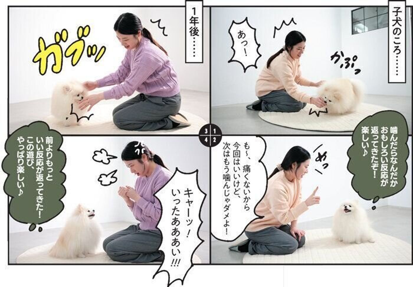 当時のメディア報道・掲載写真