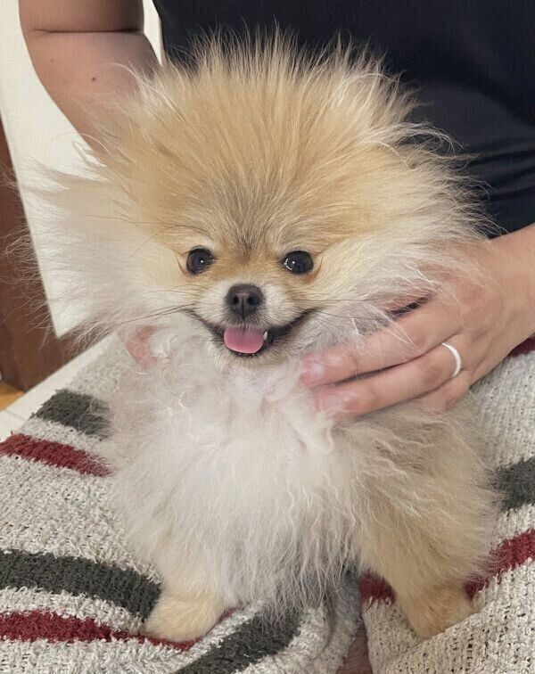 嬉しそうななごみちゃん