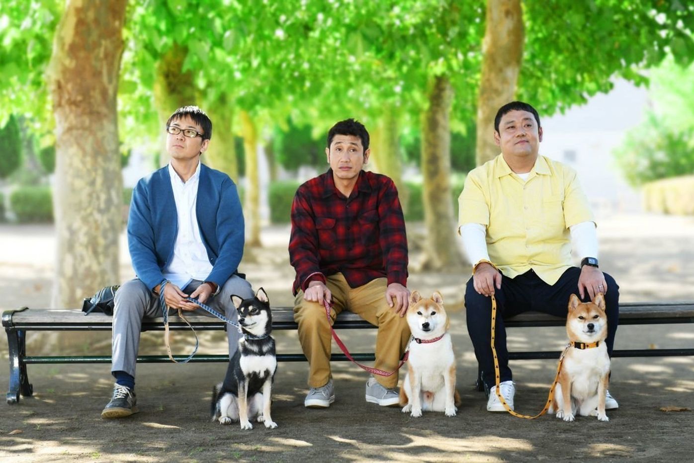 おっさん 柴が愛おしい ドラマ 柴公園 の撮影現場に潜入 前編 いぬのきもちweb Magazine おっさん 柴が愛おしい ドラマ 柴公園 の撮影現場に潜入 前編 いぬのきもちweb Magazine