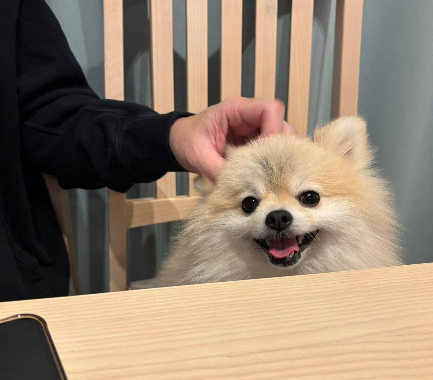 ニコニコ笑顔を見せるゴン太くん