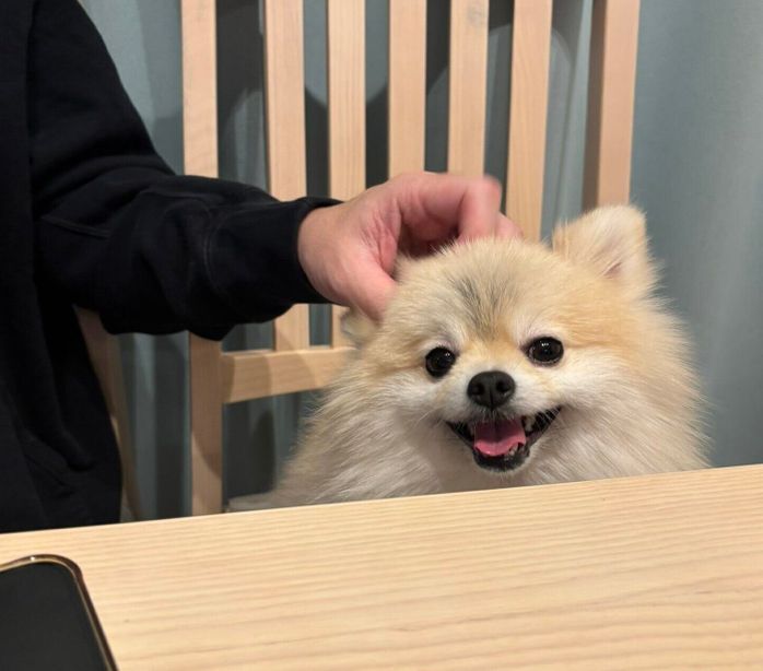 ニコニコ笑顔を見せるゴン太くん