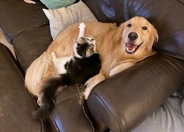 仲良しなまるくん、さんちゃん