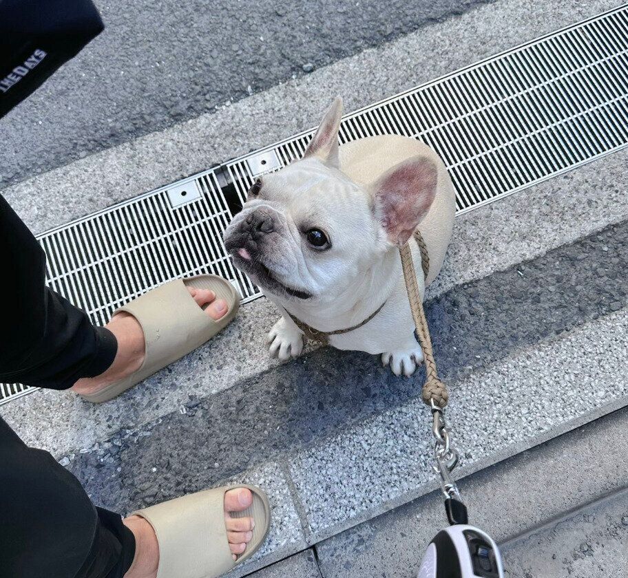 散歩をするどんくん