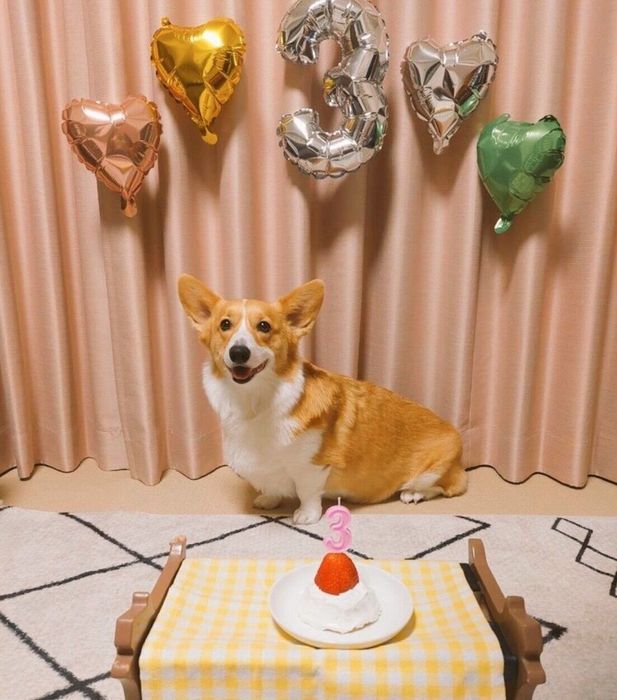 3才になったこまちちゃん