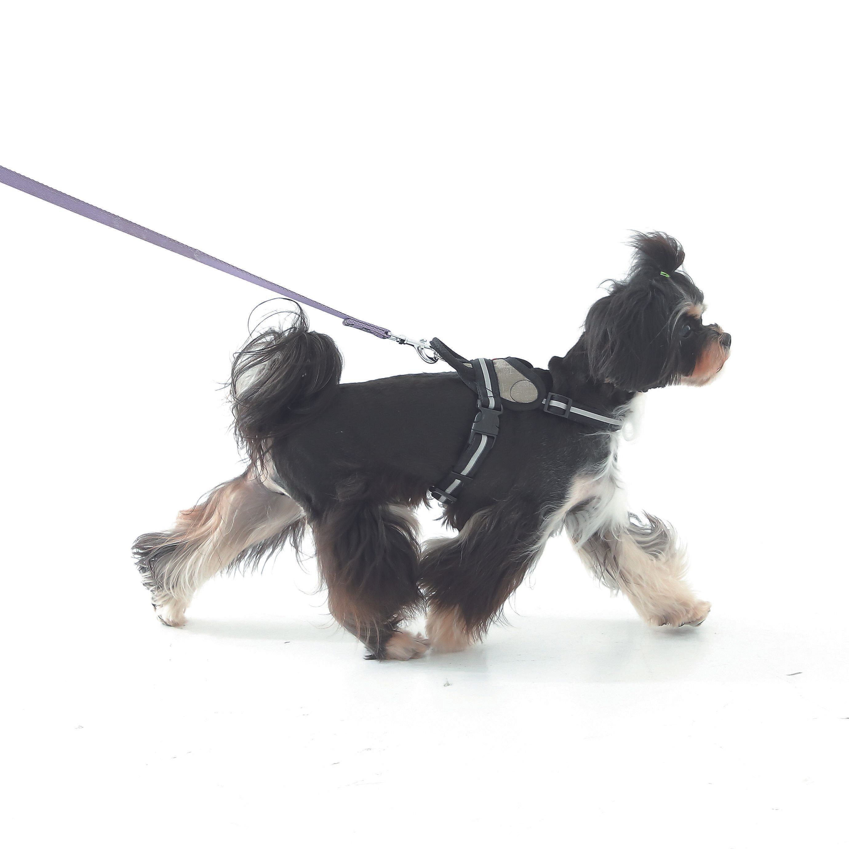 撮影／尾﨑たまき