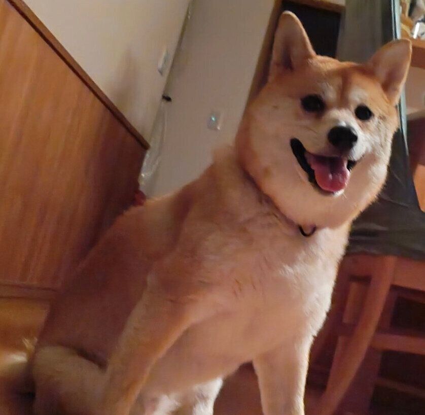 笑顔のモナカちゃん