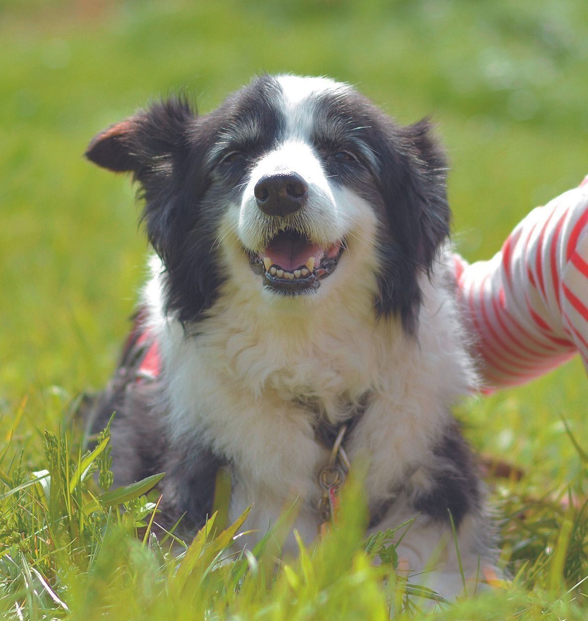 撮影／犬丸美絵