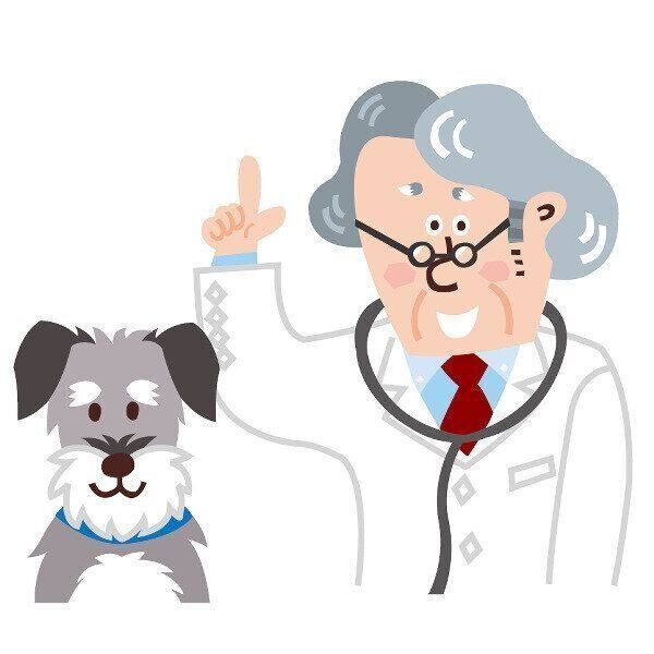 イラスト／ワタナベモトム