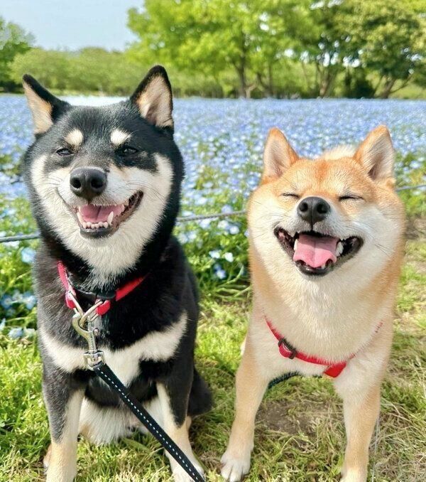 お出かけを楽しむあさちゃん、のんちゃん