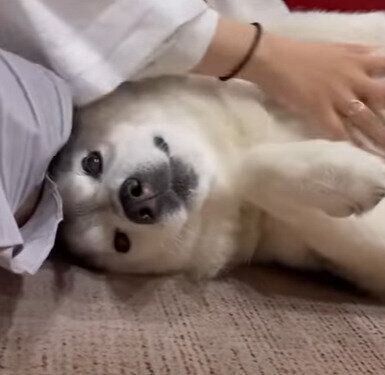 うっとりする文太くん