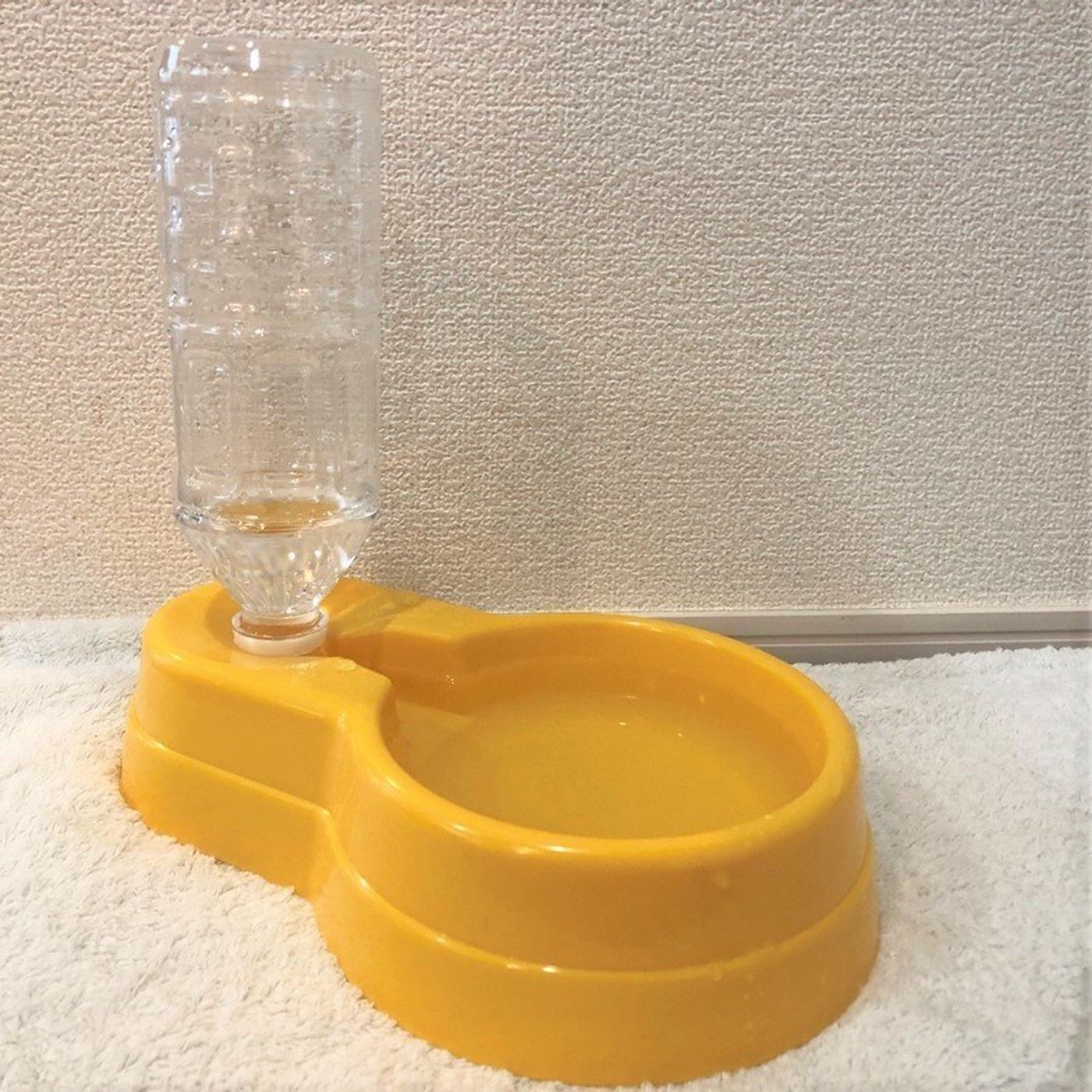ダイソーの ペット室内用自動給水器 その実力は 愛犬に使ってみた いぬのきもちweb Magazine ダイソーの ペット室内用自動給水器 その実力は 愛犬に使ってみた いぬのきもちweb Magazine