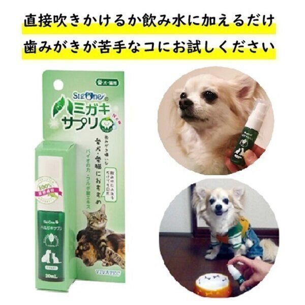 液体歯磨き