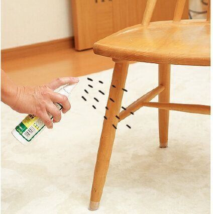 撮影／尾﨑たまき