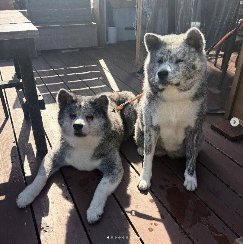 ひなたにたたずむとらくんと紫遥ちゃん