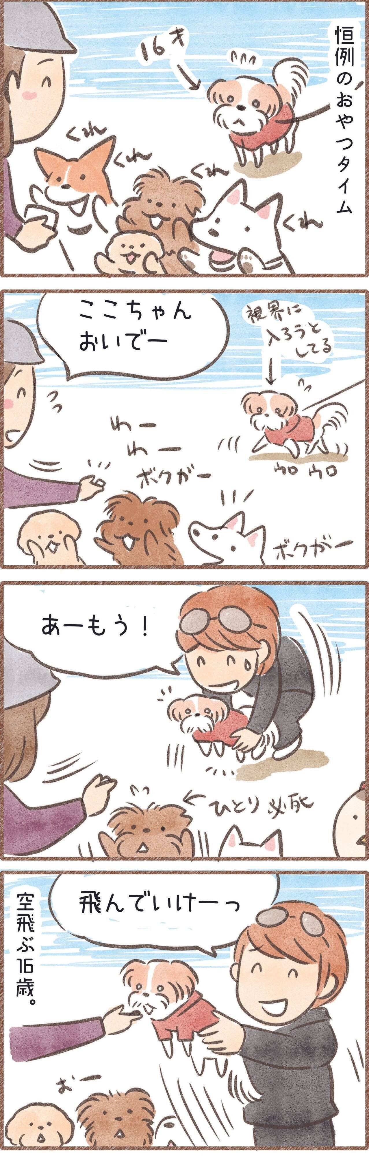 空飛ぶハイシニア犬の漫画