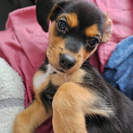 あざとかわいい楓ちゃん