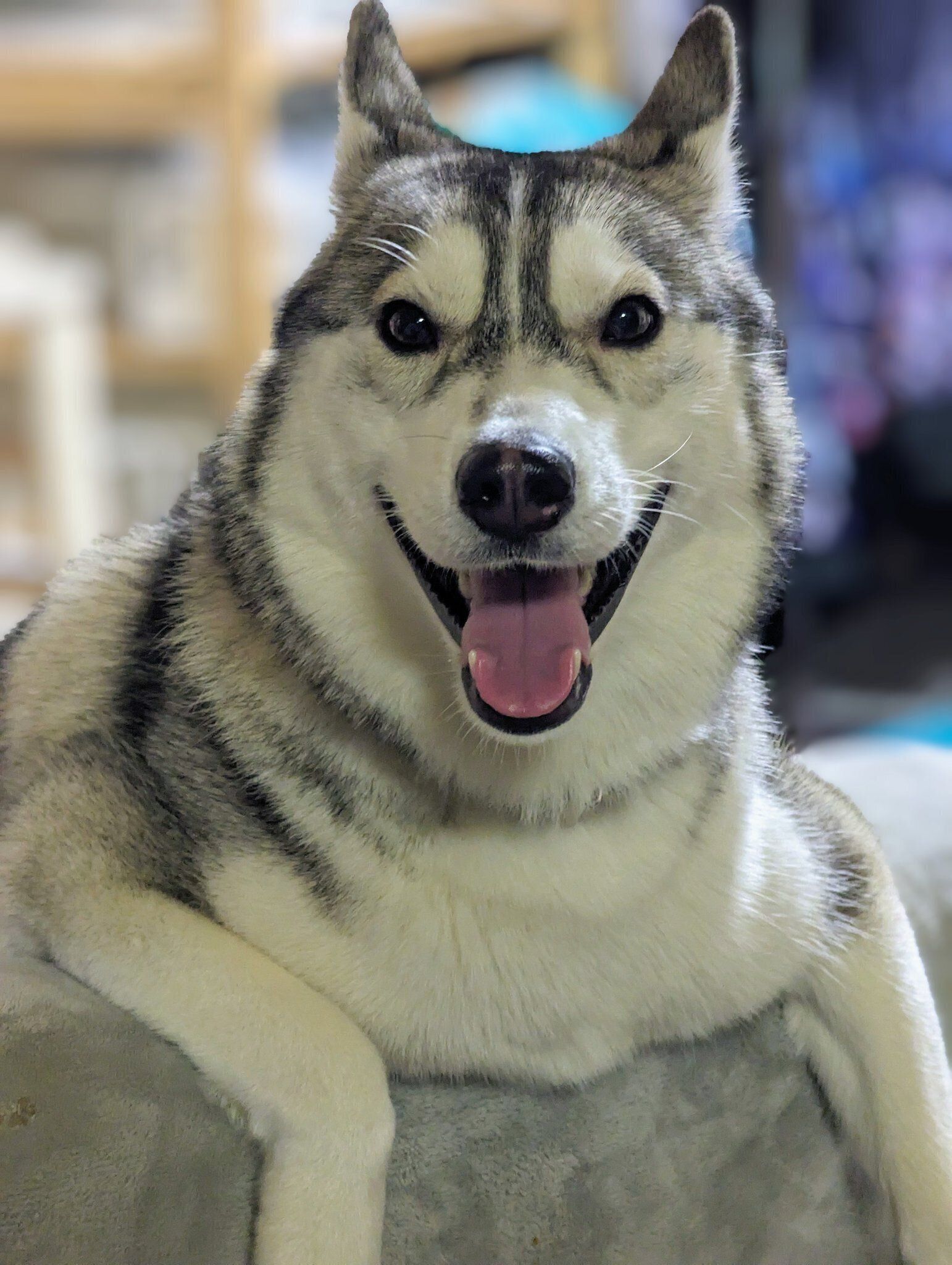 笑顔が可愛いテラちゃん