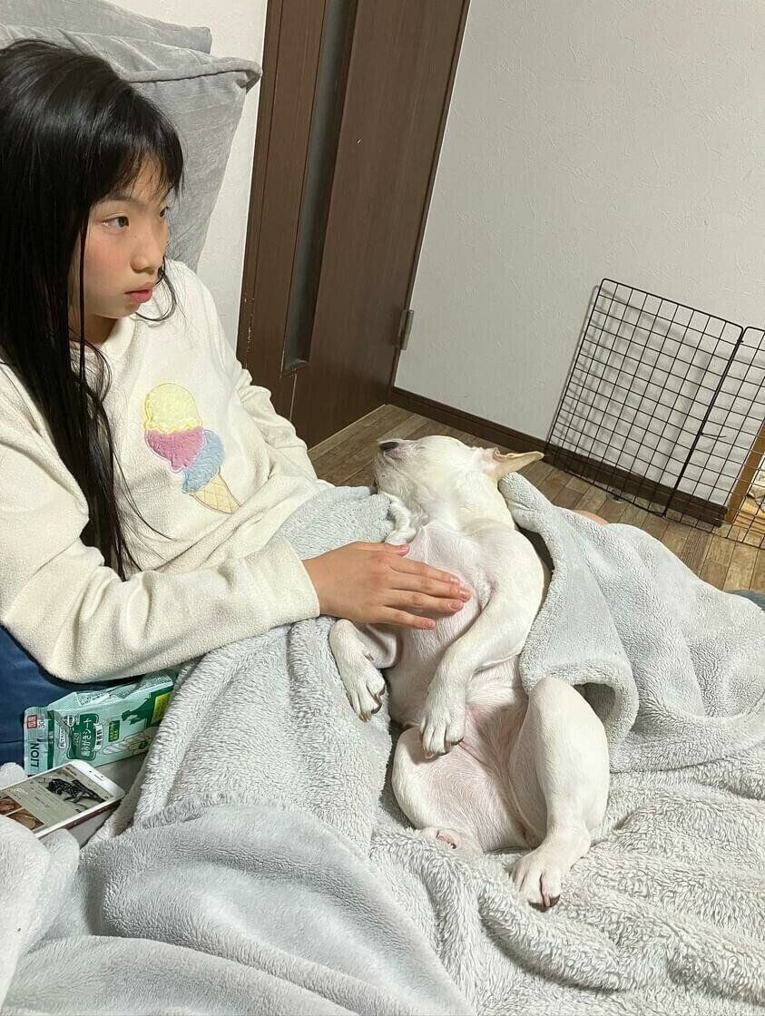 ご家族の足の上で爆睡中のおもちちゃん