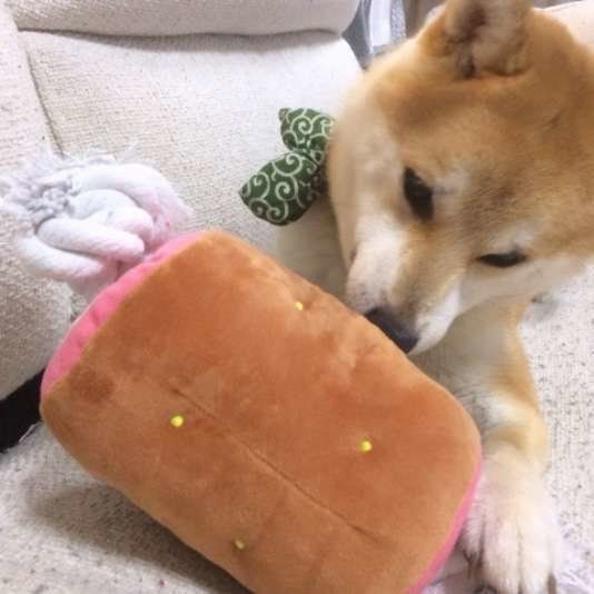 大好きなお肉のおもちゃ