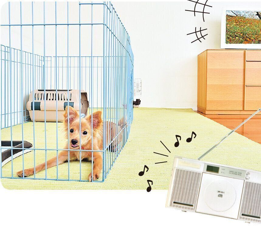 犬は いつもと違う ことに敏感 犬に 不安を感じさせない 留守番とは いぬのきもちweb Magazine