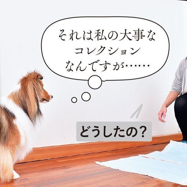 撮影／佐藤正之