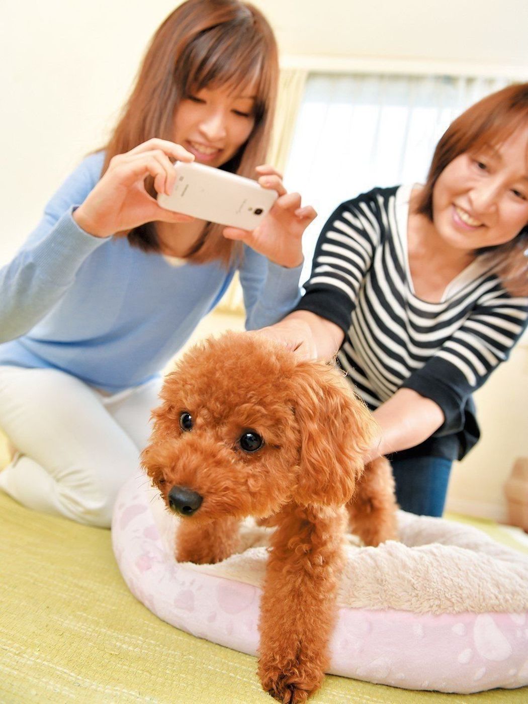 かまって犬 さみしくなるといじけちゃう犬種って いぬのきもちweb Magazine かまって犬 さみしくなるといじけちゃう犬種って いぬのきもちweb Magazine